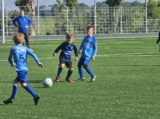 S.K.N.W.K. JO9-1 - ST FC De Westhoek '20/Z.S.C. '62 JO9-3 (competitie) 2024-2025 (4e fase) (35/48)